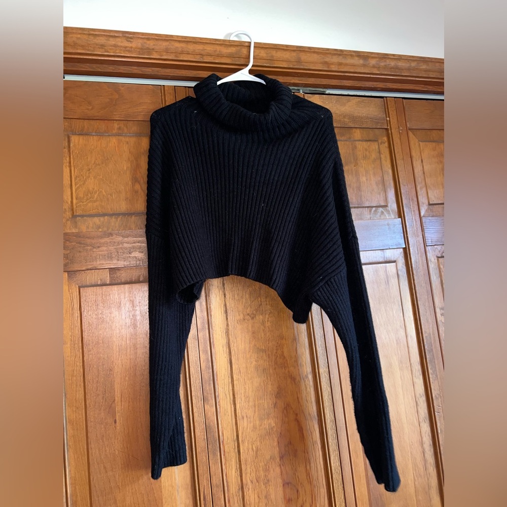Pant’s Store Cropped Black Turtleneck